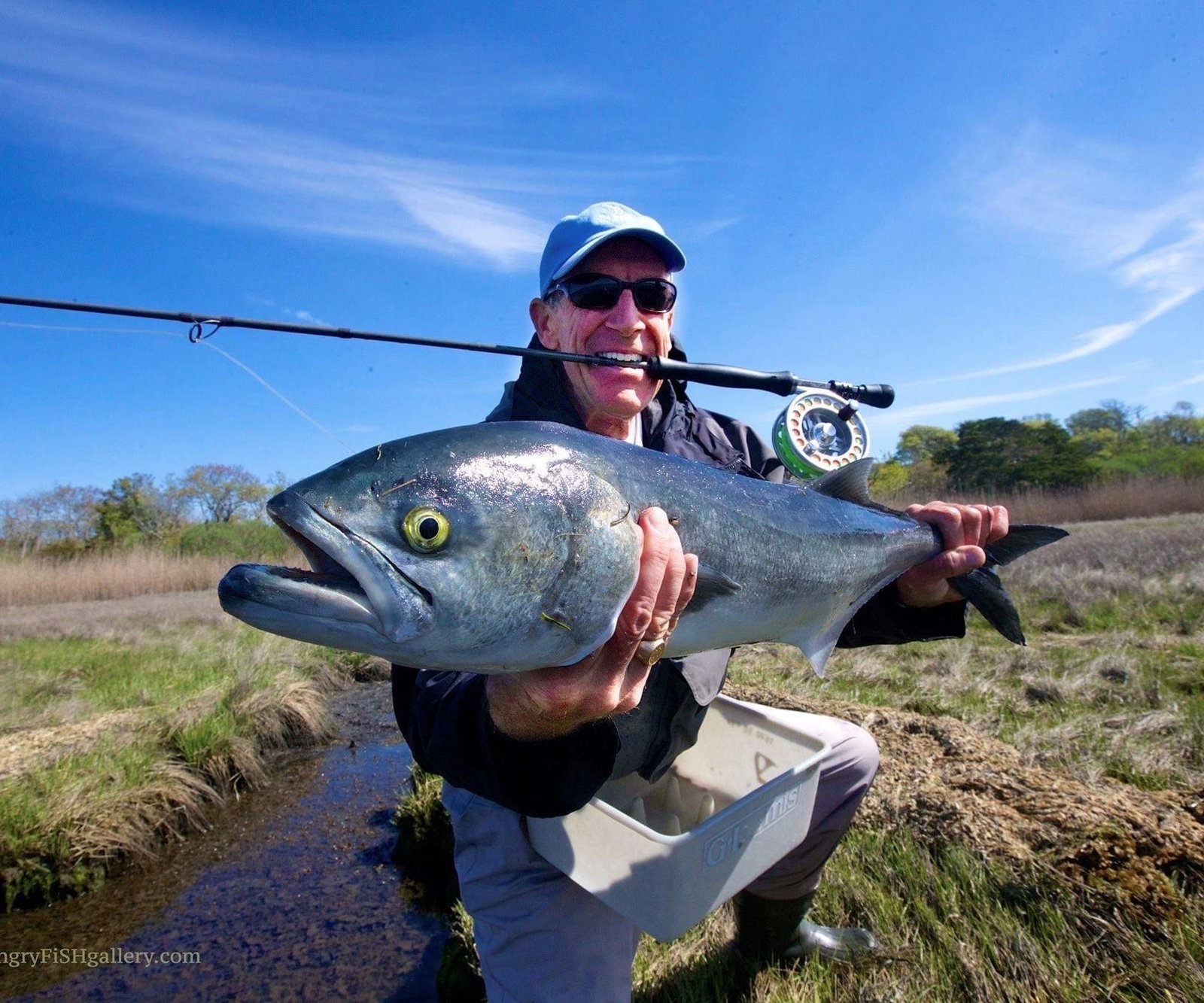 Time on the water from a working guide's operation, photographed by Shore Catch Guide Service in NJ