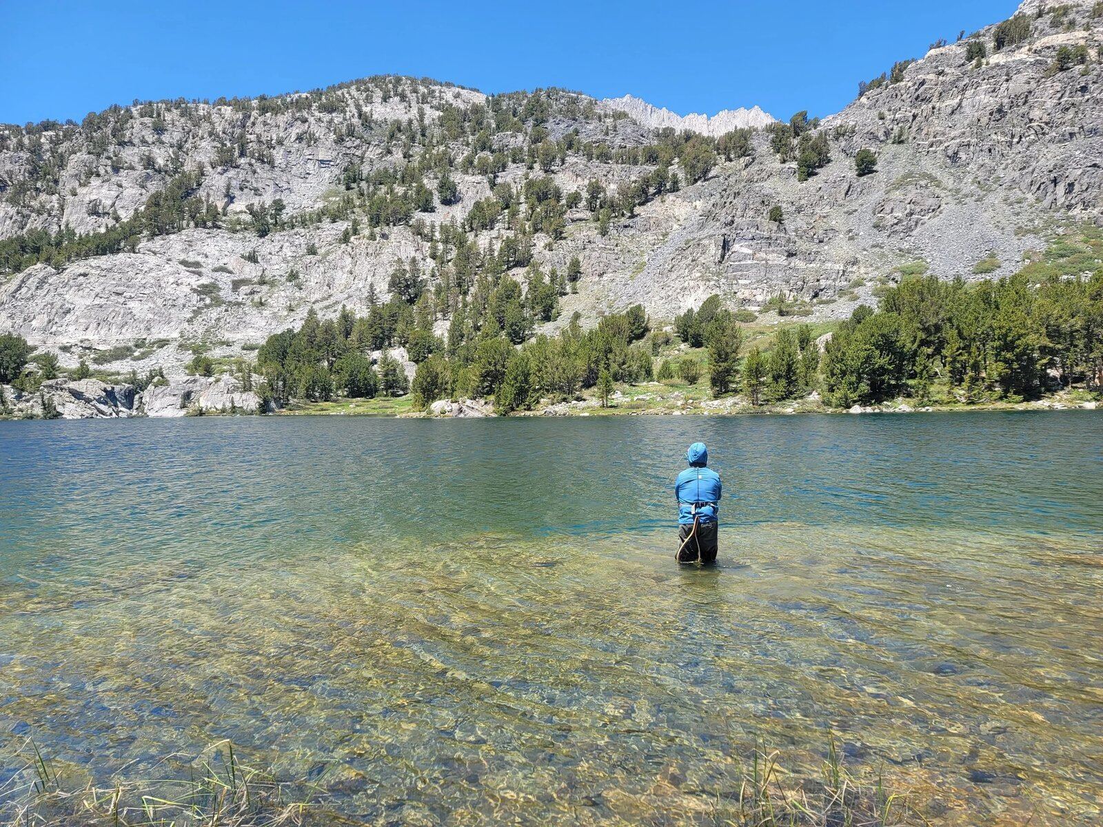 Water where guides here run sacramento perch trips, photographed by Sierra Mountain Trout Guide Service