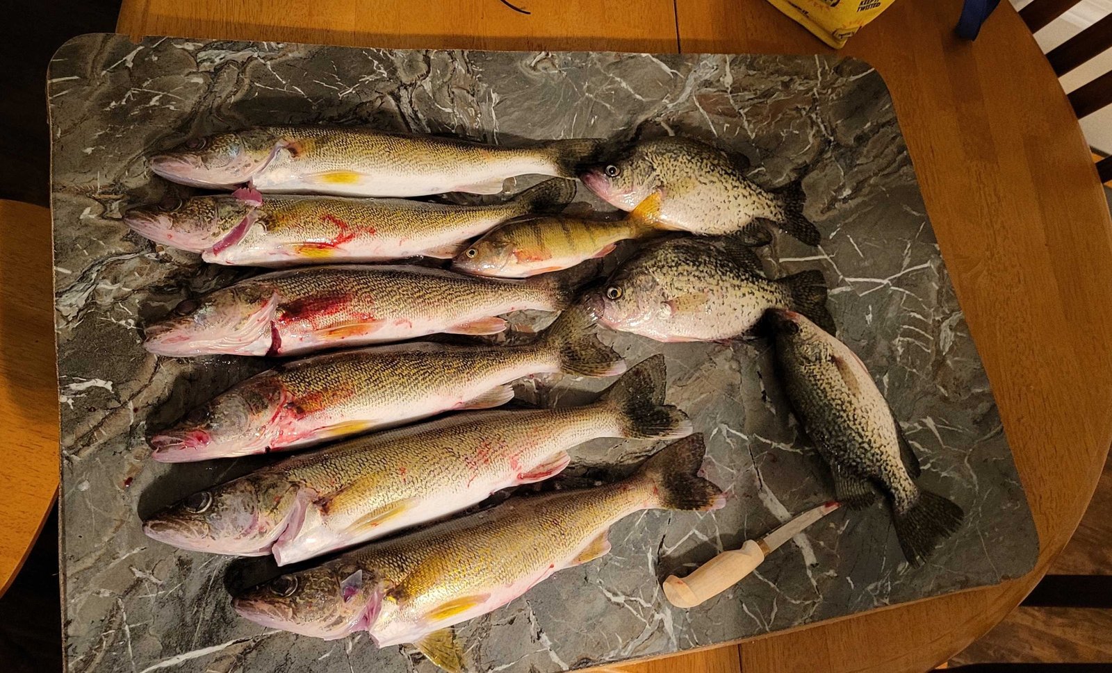 On the Mosinee Flowage, photographed by Sirny's Guide Service