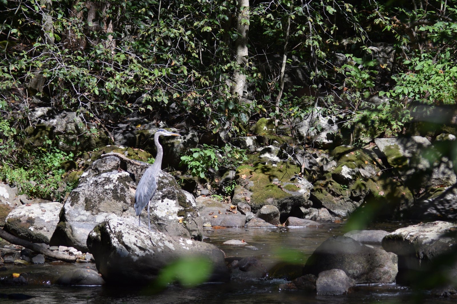 A guide at work during a trip, photographed by South Branch Outfitters in NJ
