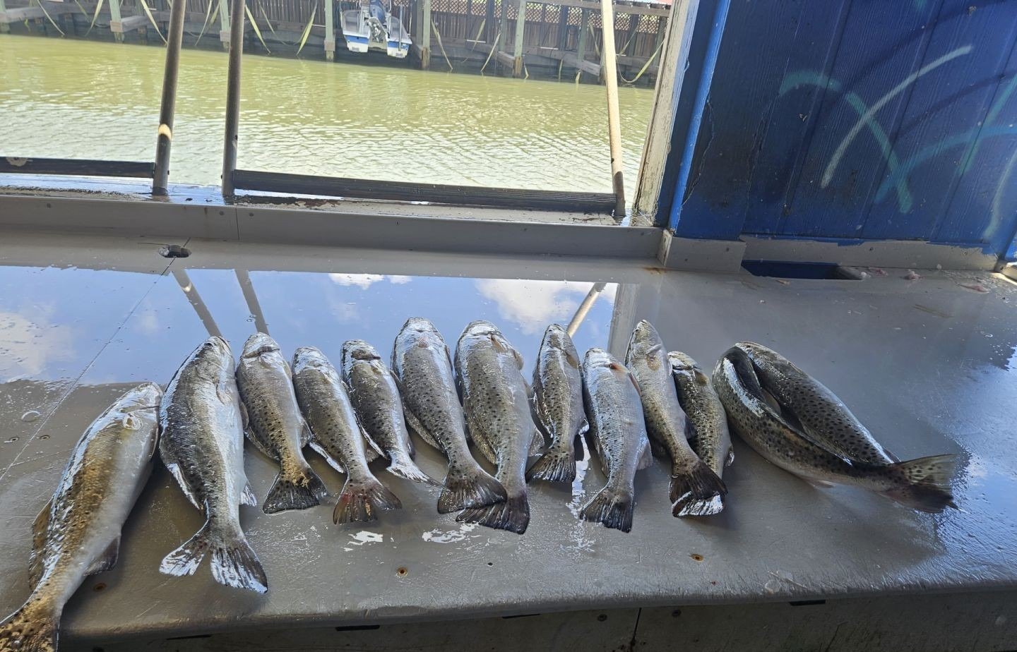 Time on the water from a working guide's operation, photographed by South Texas Outcast Guide Service in TX