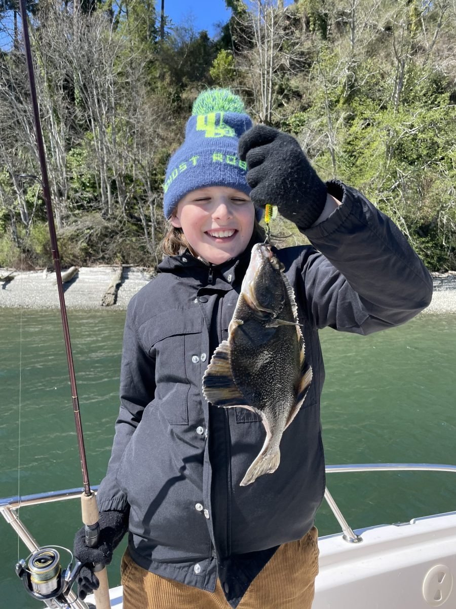 Spot Tail Salmon Guide on the water in Washington