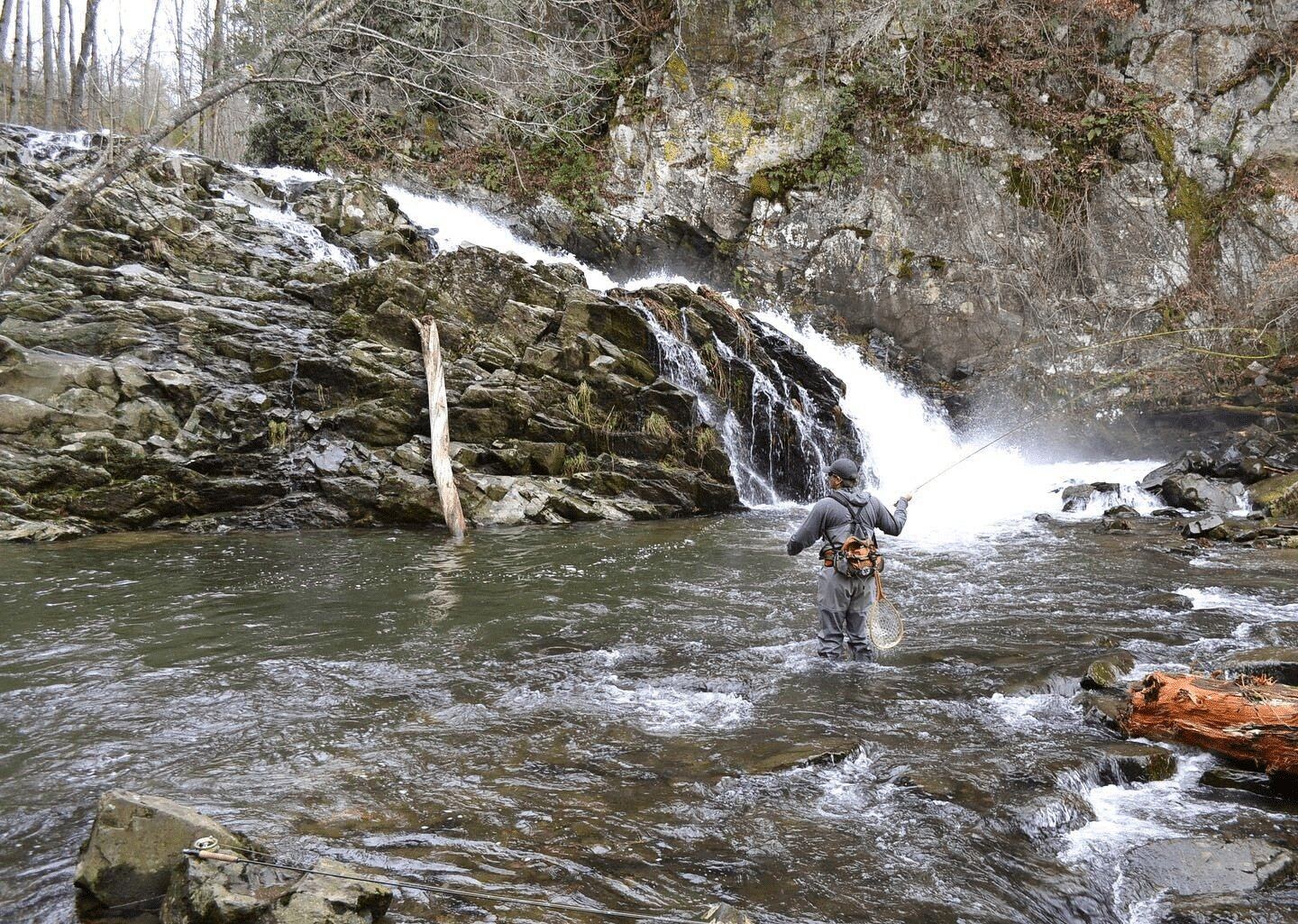 On the Hiwassee River, photographed by Spotted Dog Outfitters