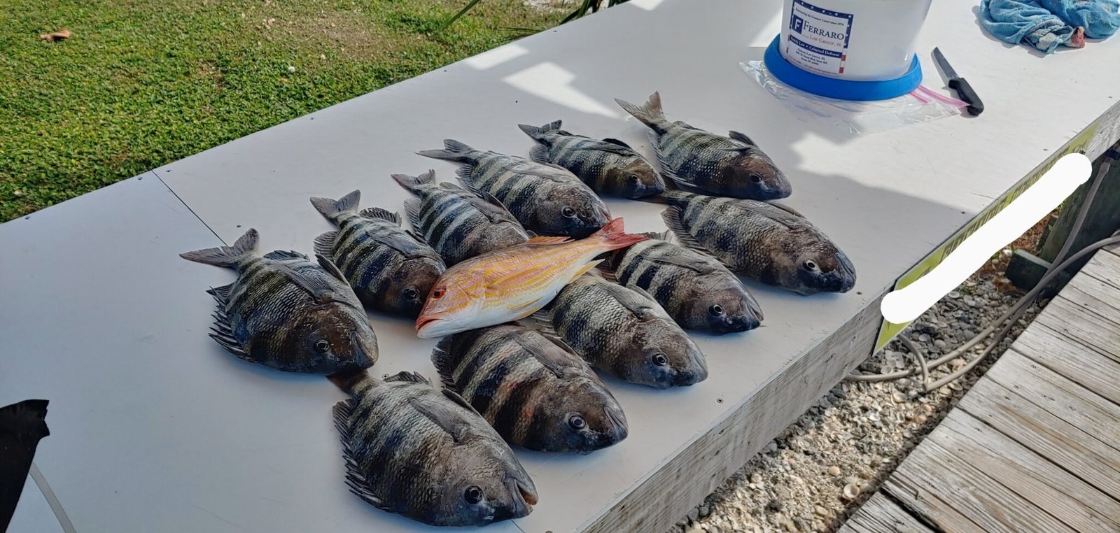 A guided day underway, photographed by St Lucie Flats Fishing in FL