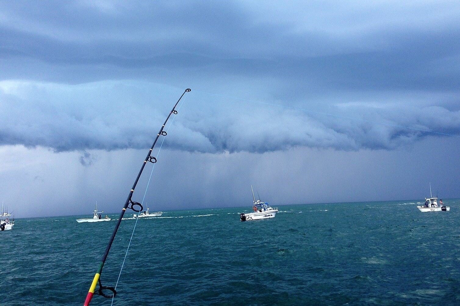 The working end of a guided day, photographed by St. Pete Sport Fishing in MA