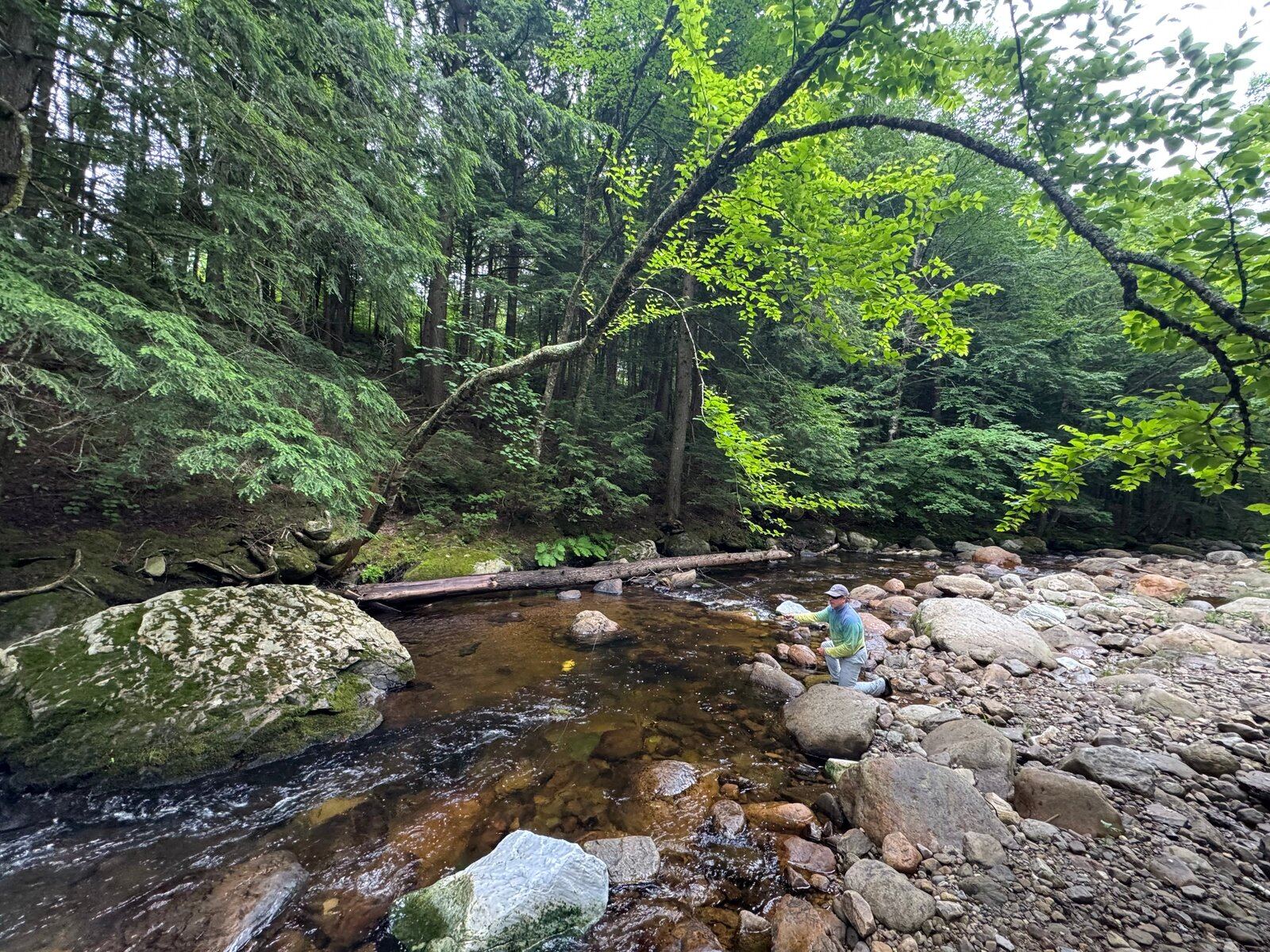 On the Otter Creek, photographed by Stream and Brook Fly Fishing
