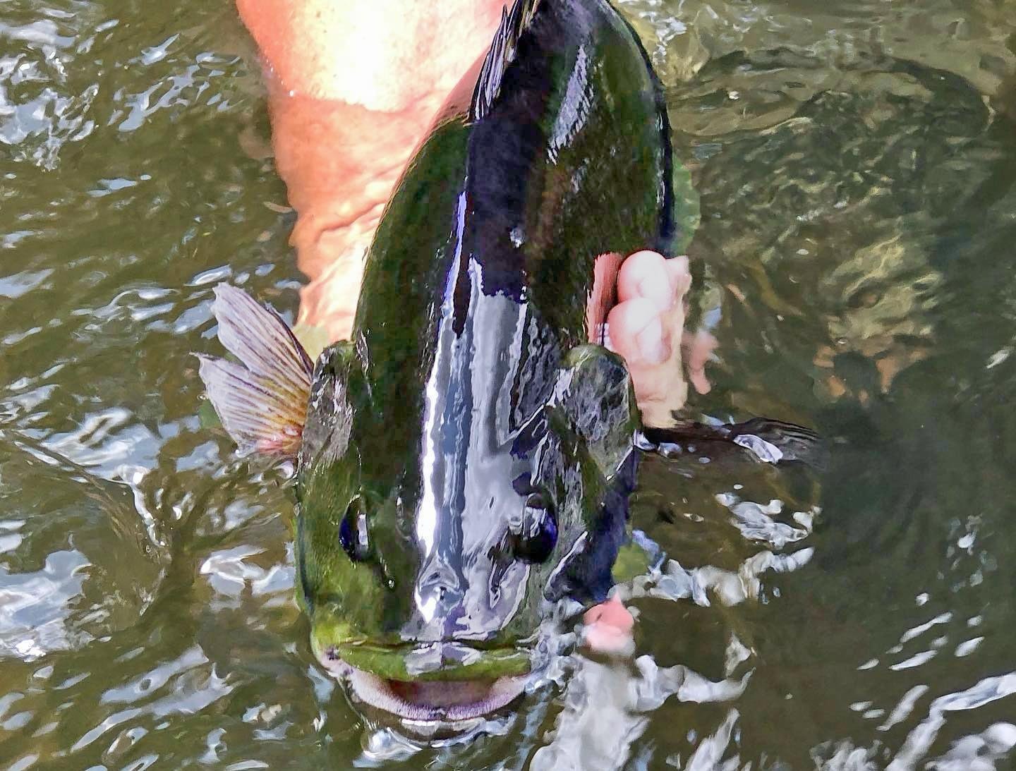 Susquehanna River Guides on the water in Pennsylvania