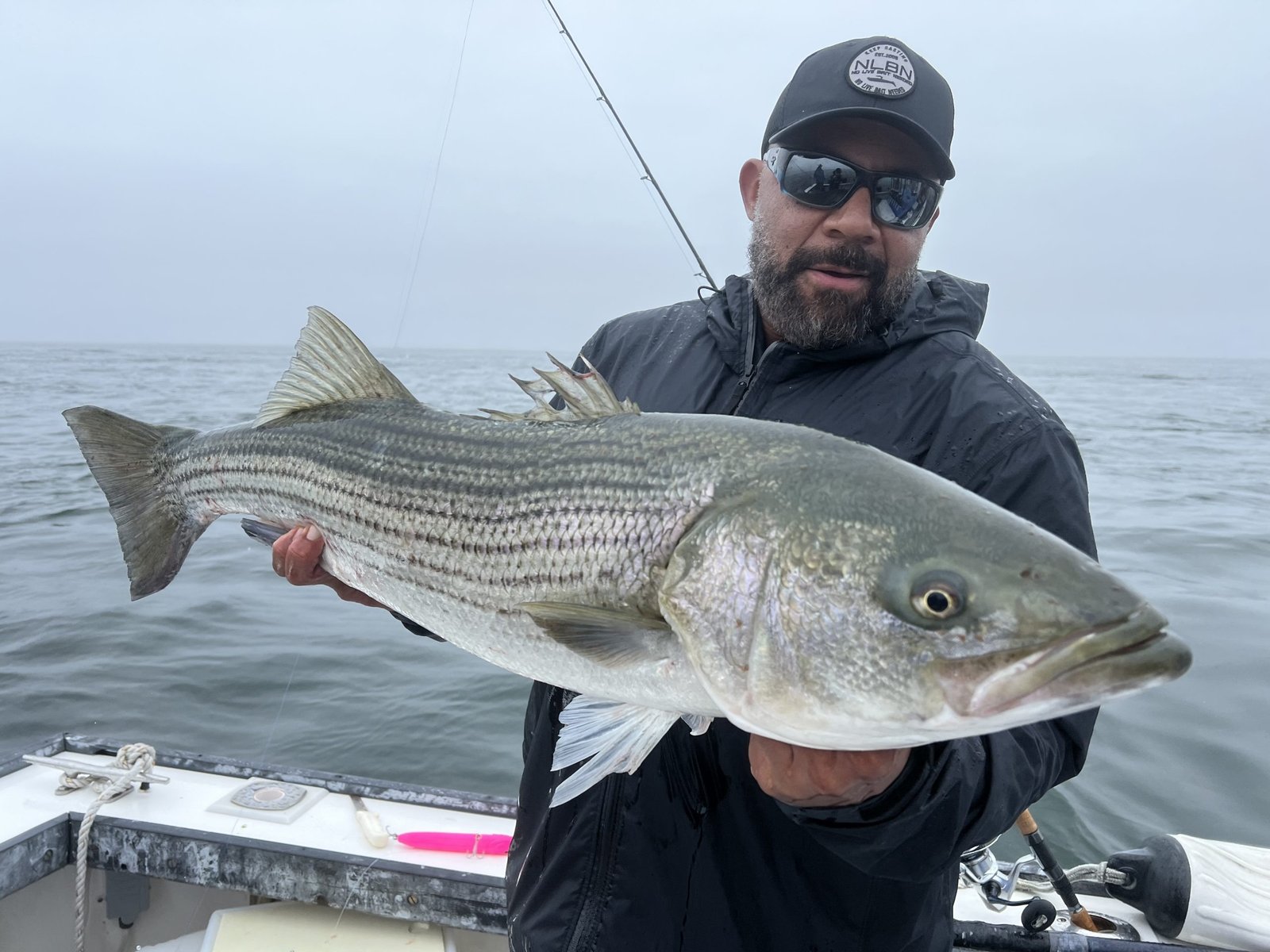 Water where guides here run squid trips, photographed by Take A Chance Charters