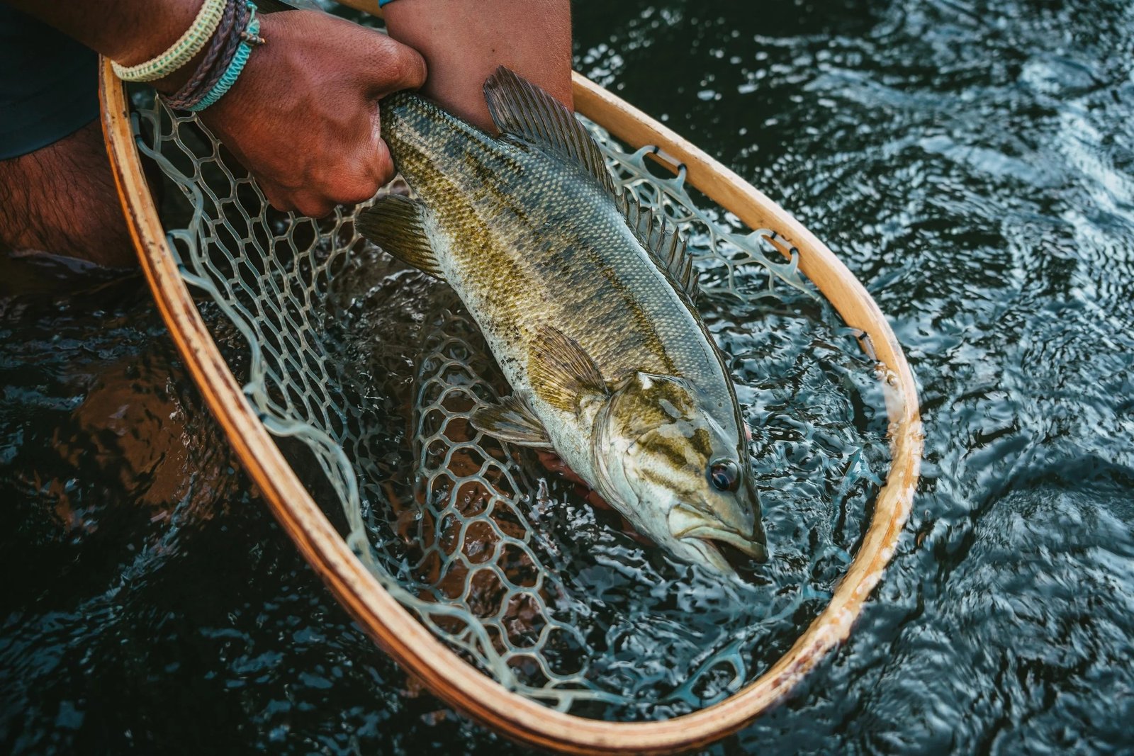 Tall Tails Fly Fishing on Toccoa River
