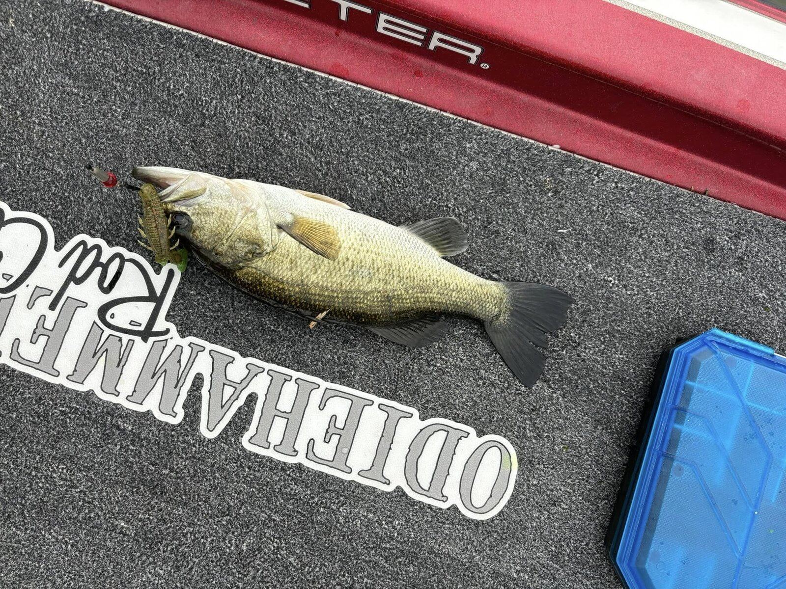 Time on the water from a working guide's operation, photographed by Texas Fishing Frenzy Guide Service in TX