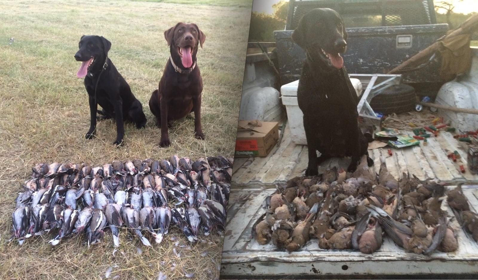 A guide working with a client on the water, photographed by Texas Hunting and Fishing Adventures in TX