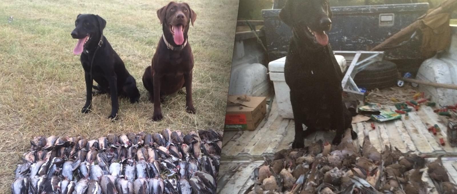 An on-the-water scene from a working guide operation, photographed by Texas Hunting and Fishing Adventures in TX