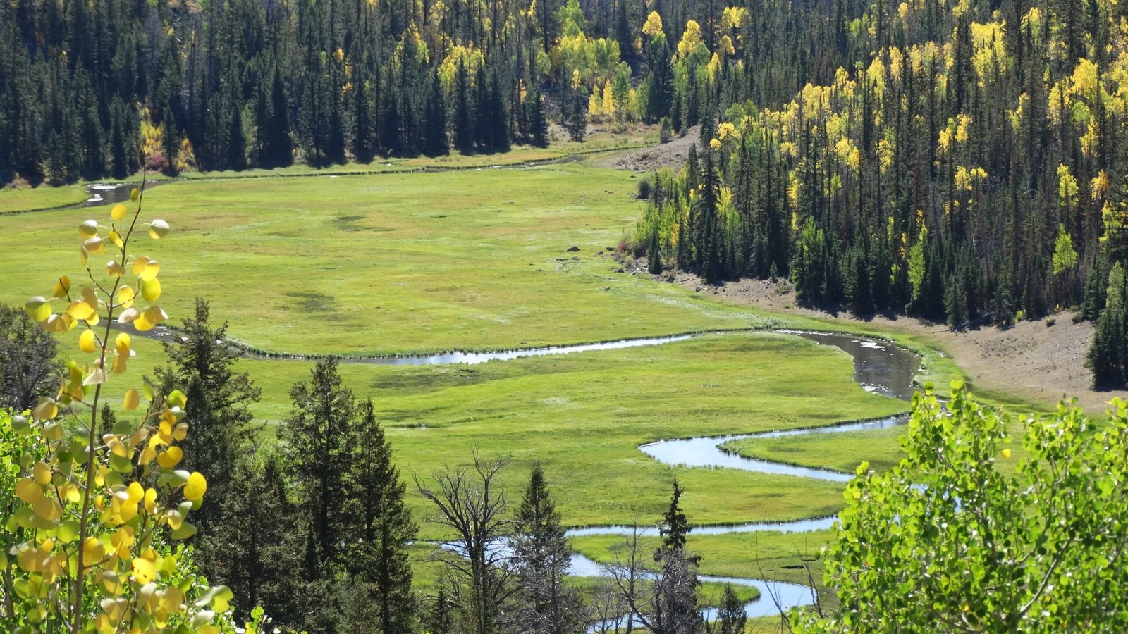 On the Fish Lake Mountain, photographed by The Quiet Fly Fisher