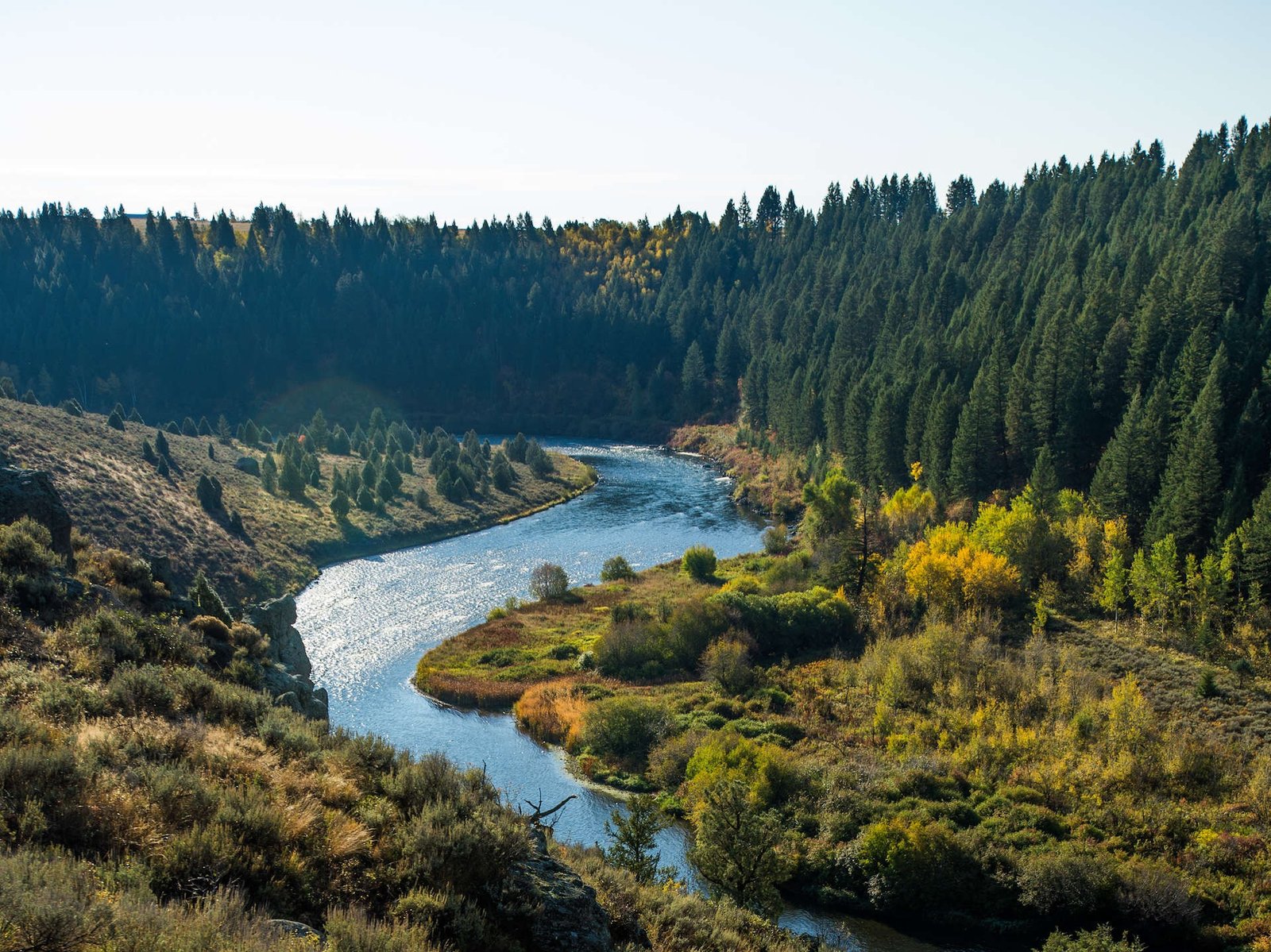 A guide and client fishing together, photographed by Three Rivers Ranch in ID