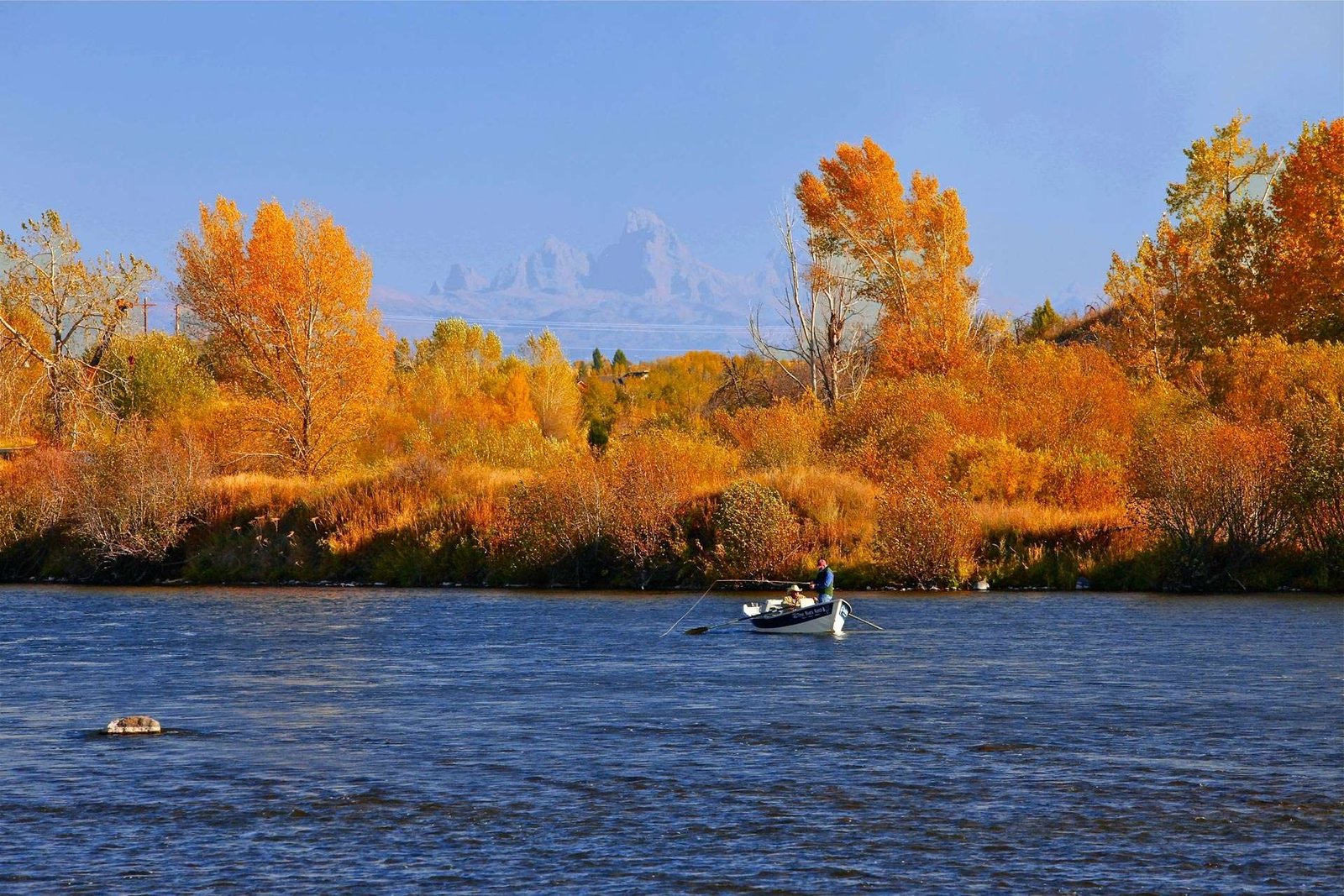 Anglers floating a river beneath blazing fall cottonwoods