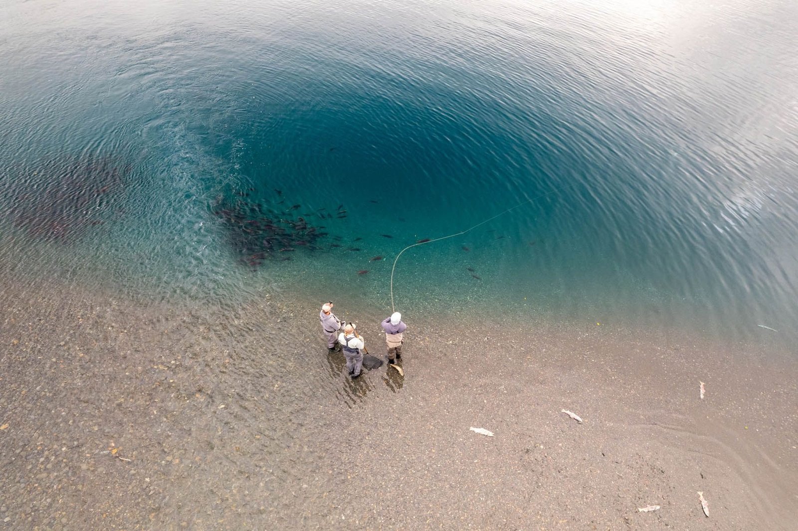 A guide at work during a trip, photographed by Tikchik Narrows Lodge in AK