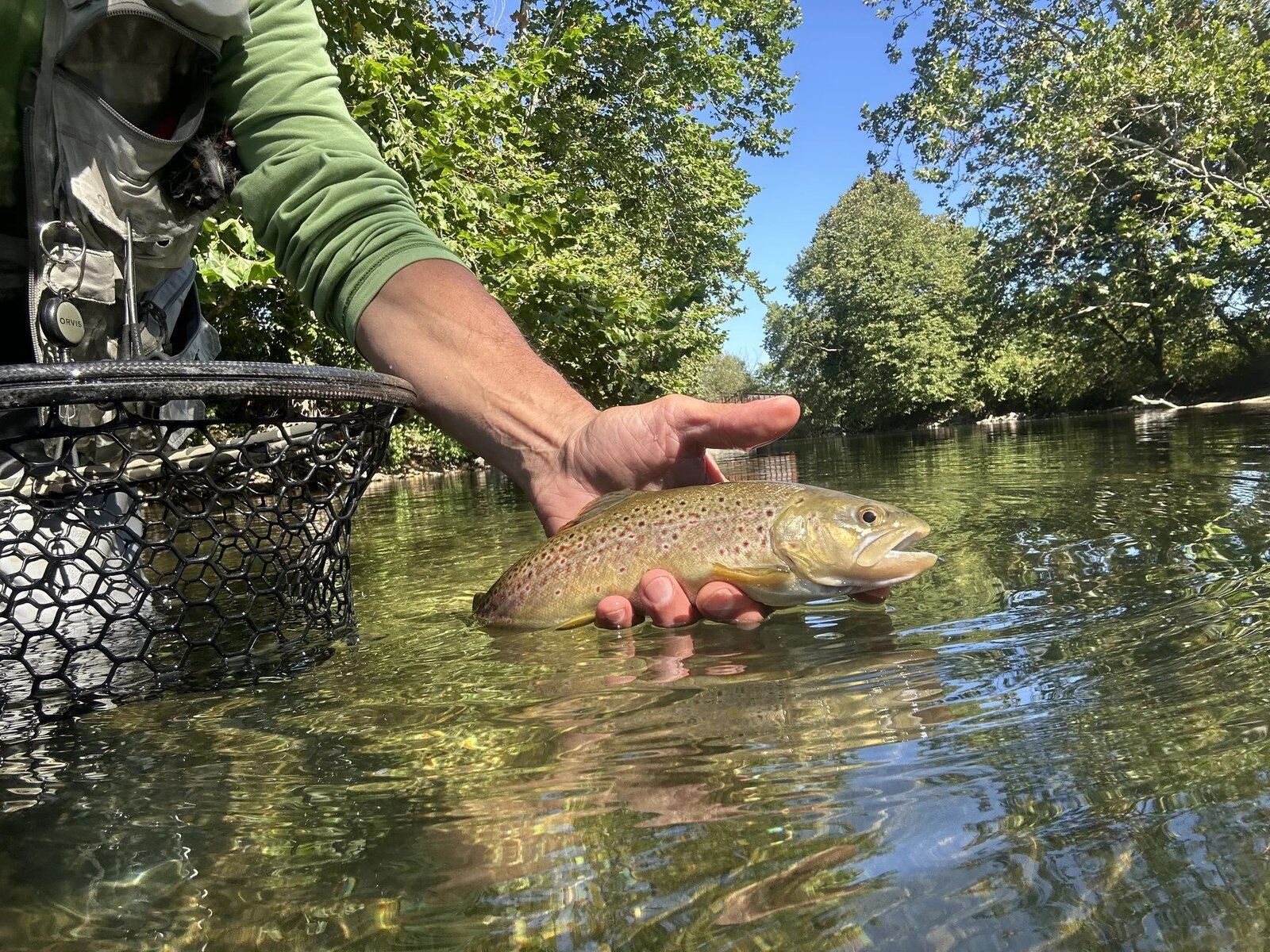 Trico Unlimited on the water in Vermont