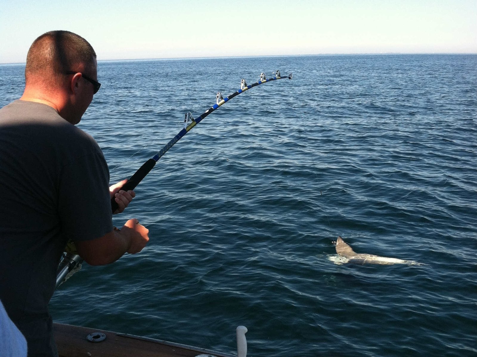 Time on the water from a working guide's operation, photographed by Triton Sportfishing in MA
