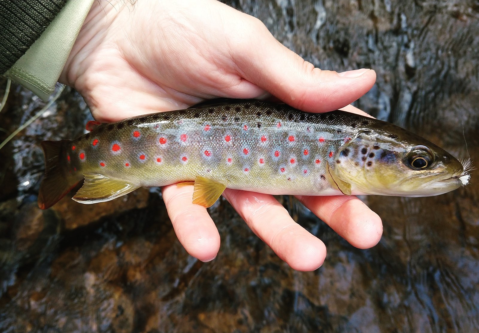 Trout Haven on the water in Pennsylvania