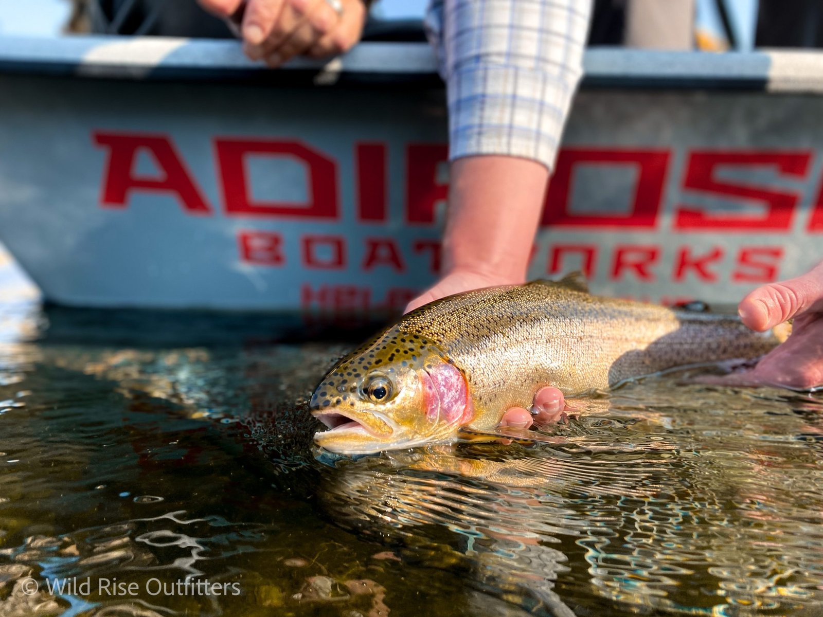 True North Trout on the water in Michigan
