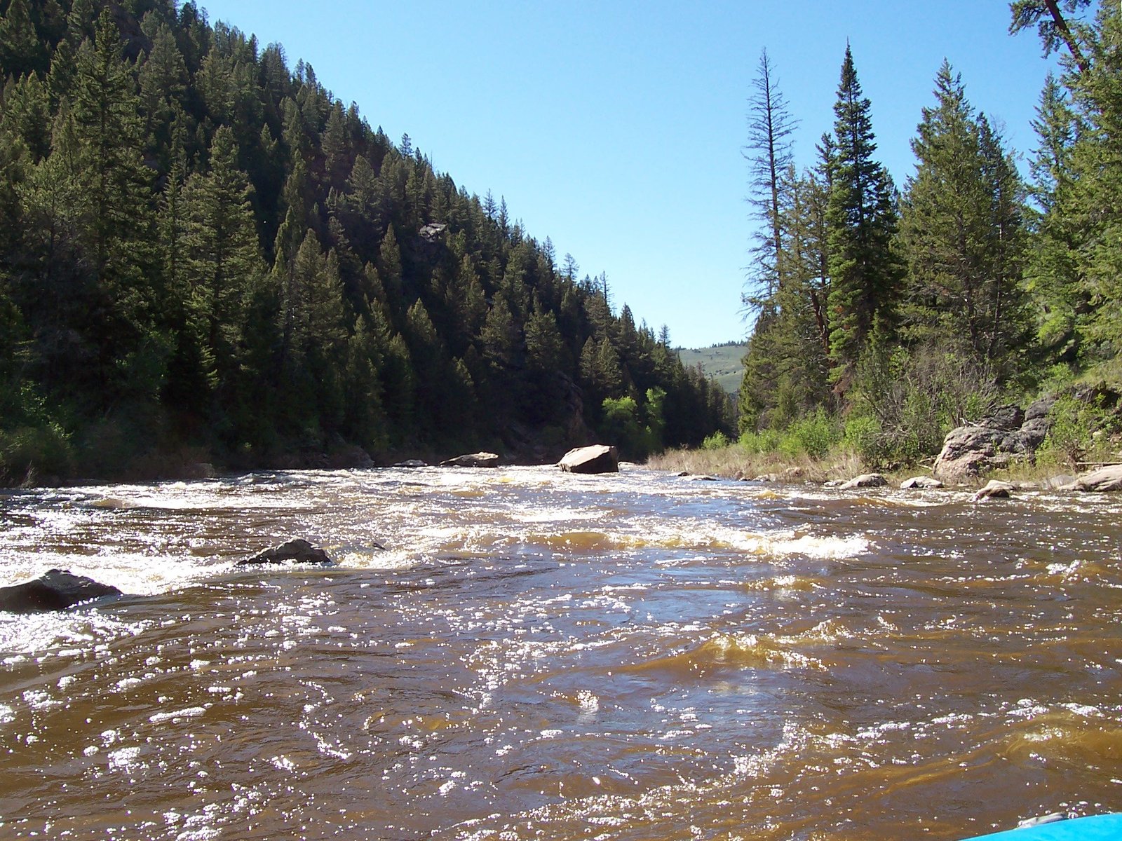 Two Dogs Guide Service on Upper North Platte River