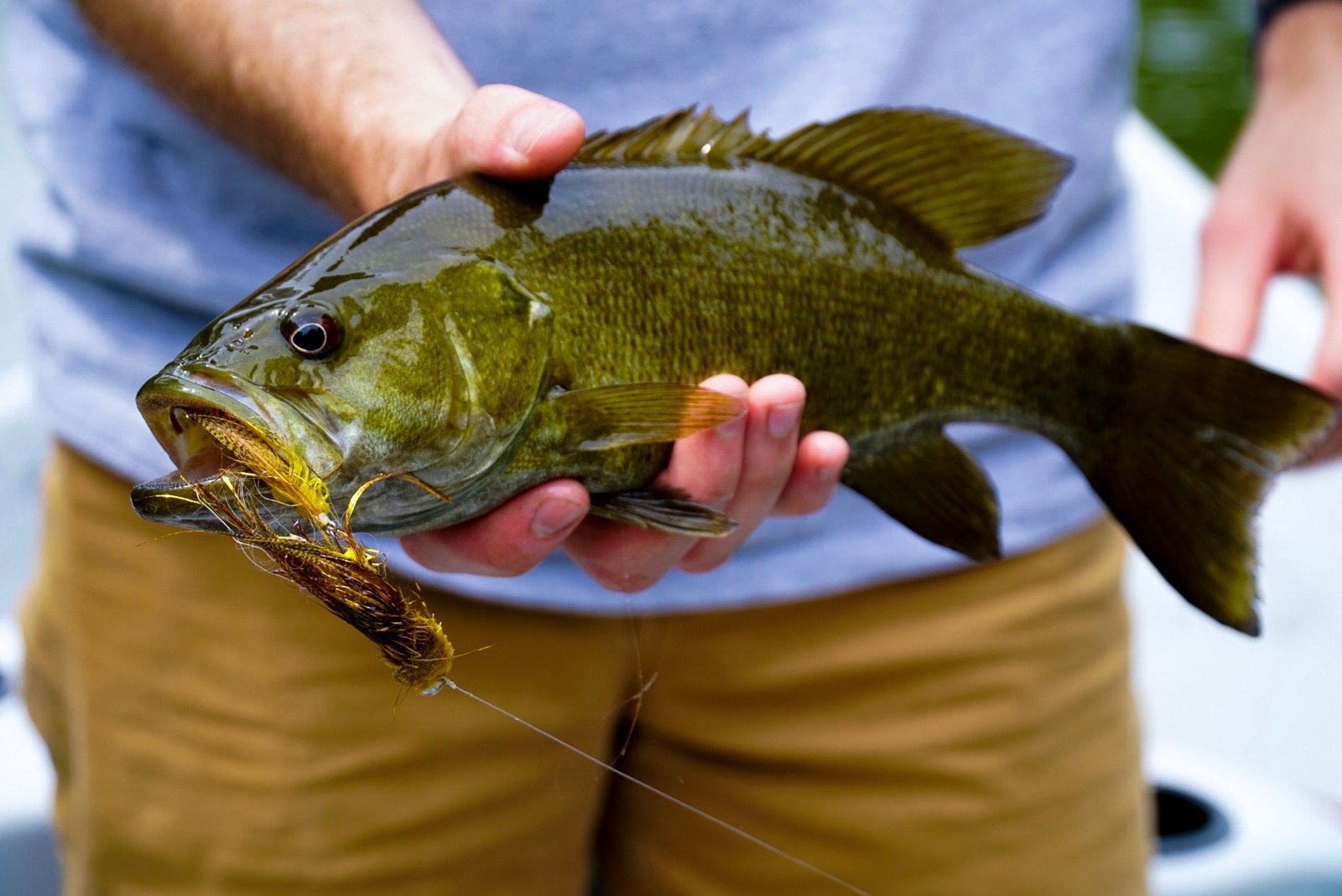An angler and guide out on the water together, photographed by Two Forks Guide Service in IN