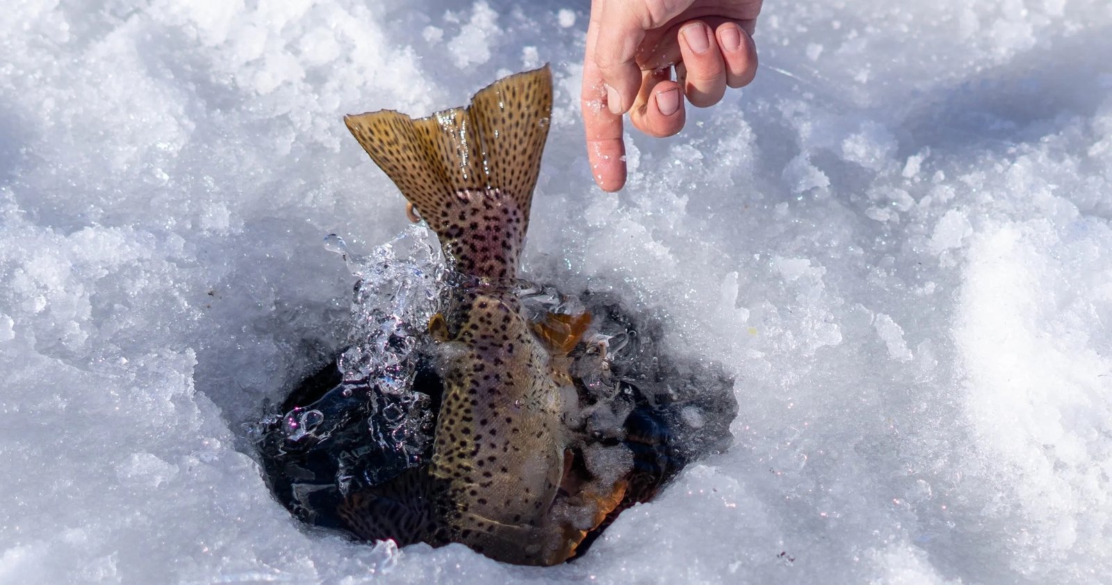 On the Rockport Reservoir, photographed by Utah Ice Fishing