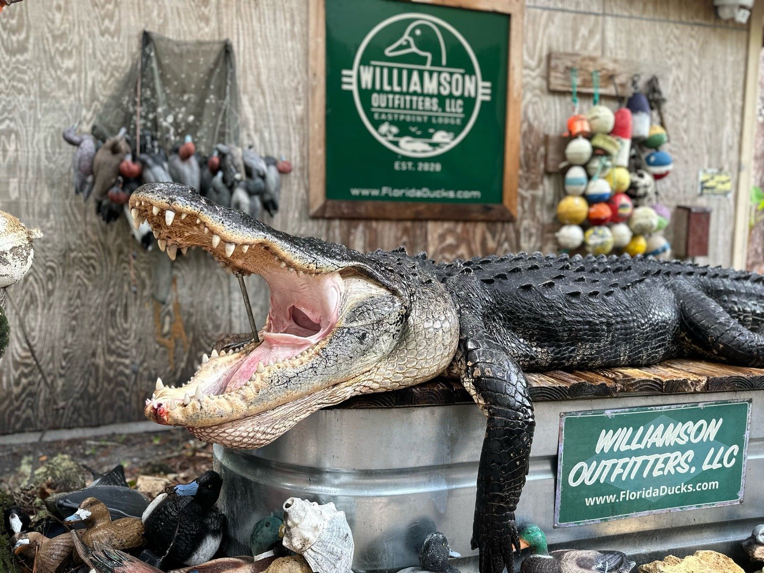 Williamson Outfitters on the water in Florida