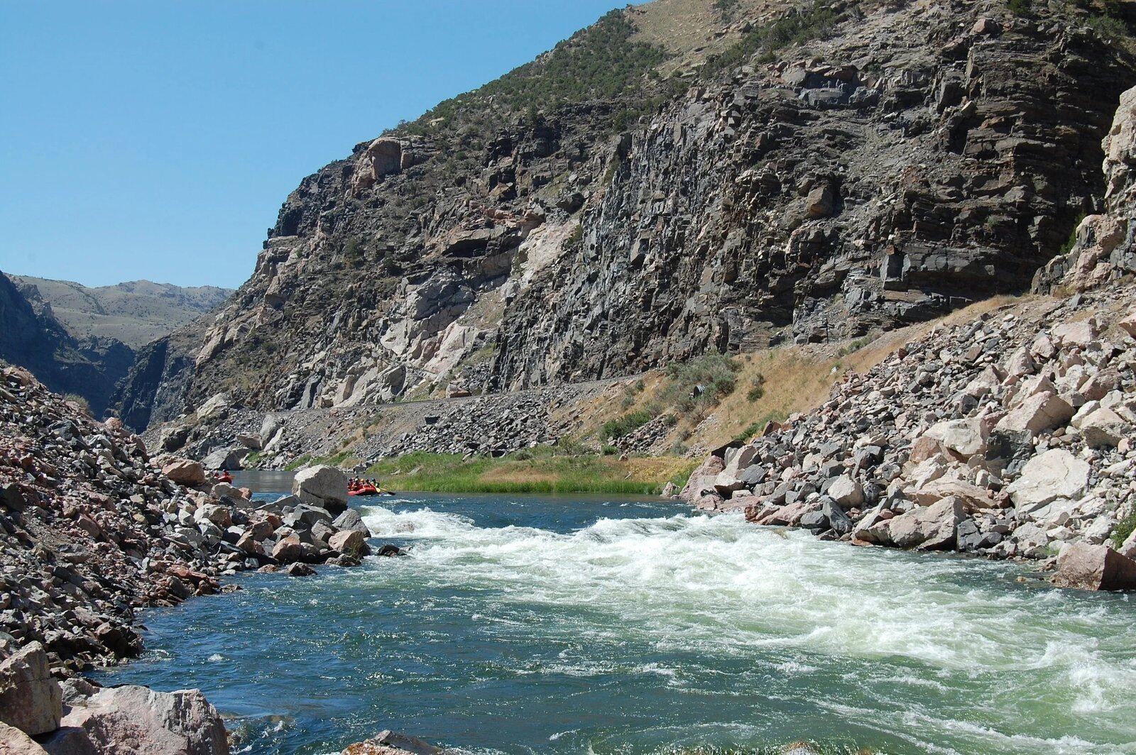 A guide working with a client on the water, photographed by Wind River Canyon Whitewater & Fly Fishing in WY